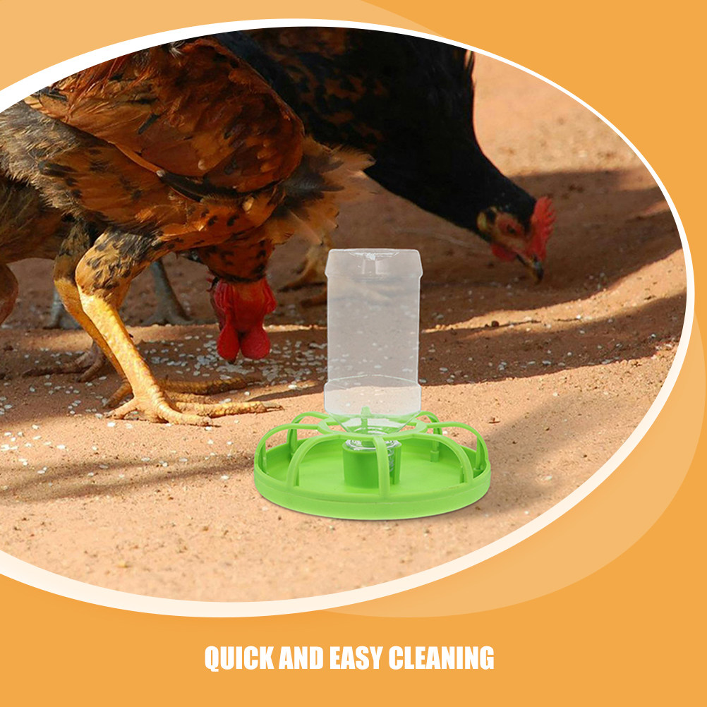 2 Set Tempat Makan Burung Puyu - Baby Food Tray ulasan dan harga
